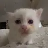 GBY