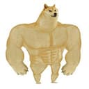 SWOLEDOGE