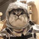 Mooncat