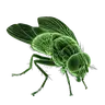 TAI