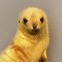 Seal
