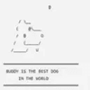 Buddy