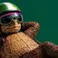 TURTILLA