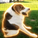 Cooper