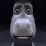 GM