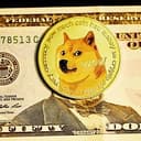 DOGEC