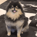 Yeontan