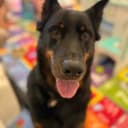 DORA