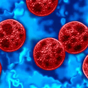 Cyclospora