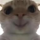 smilecat