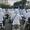 仙王裹尸布