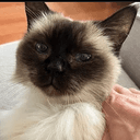TOM
