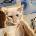 Ember
