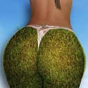 grass