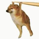 LooongDog