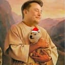 $DogeSanta