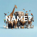 NAME?