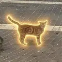◎