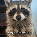 SORRYCOON
