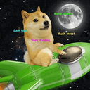 DOGE-1