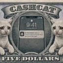 现金猫