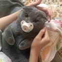 BABYCATE