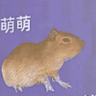 萌萌
