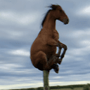 hop