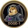 DOGE1