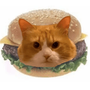 CHEDDAR