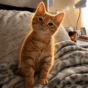 SIMBA