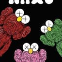 KAWS