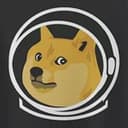 DOGE-1
