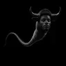 ANSPERM