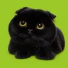 GMEOW