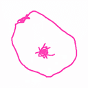 SCRIBOOB
