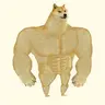 SWOGE