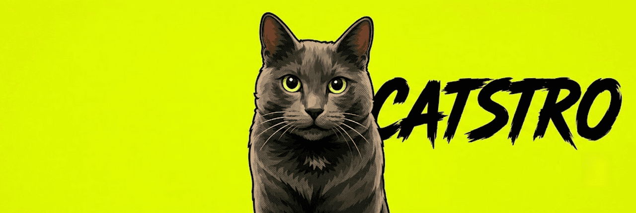 Fidel Catstro Banner