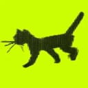 KITTY