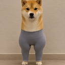sdf