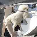 Casper