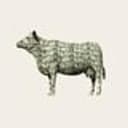 Cashcow