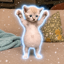 SNOWBALL
