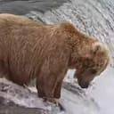 Katmai