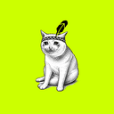 YMYM