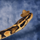 Nacho