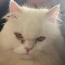 EDWARD