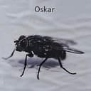 Oskar