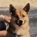 Ken