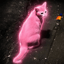 PP